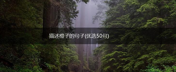 描述橙子的句子(优选50句),第1张