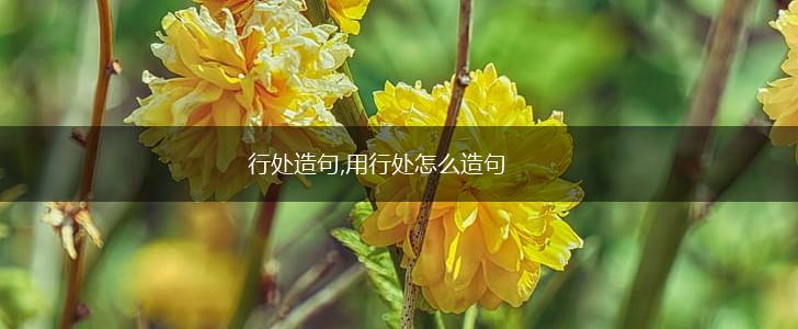 行处造句,用行处怎么造句,第1张