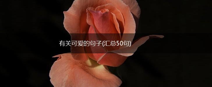 有关可爱的句子(汇总50句),第1张