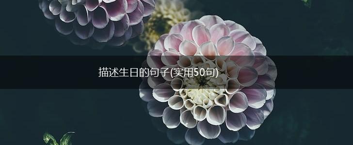 描述生日的句子(实用50句),第1张
