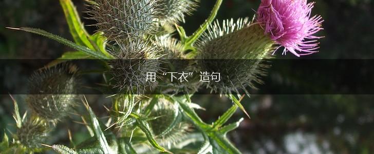 用“下衣”造句,第1张