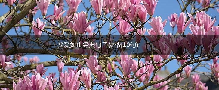 父爱如山经典句子(必备10句),第1张