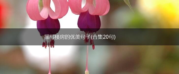 描写楼房的优美句子(合集20句),第1张