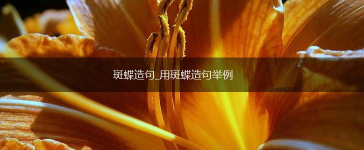 斑蝶造句_用斑蝶造句举例,第1张 斑蝶造句_用斑蝶造句举例,第1张