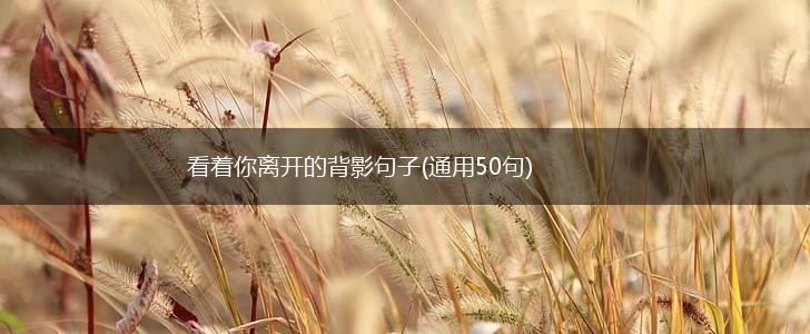 看着你离开的背影句子(通用50句),第1张