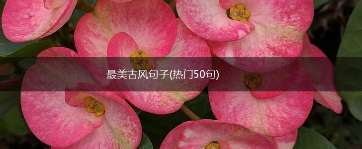 最美古风句子(热门50句),第1张
