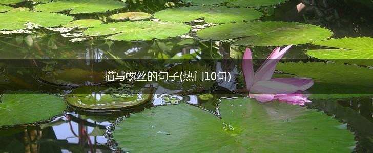 描写螺丝的句子(热门10句),第1张
