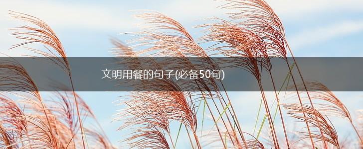 文明用餐的句子(必备50句),第1张