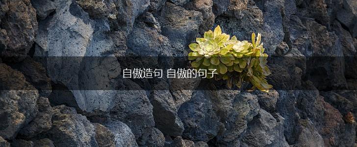 自傲造句 自傲的句子,第1张 自傲造句 自傲的句子,第1张