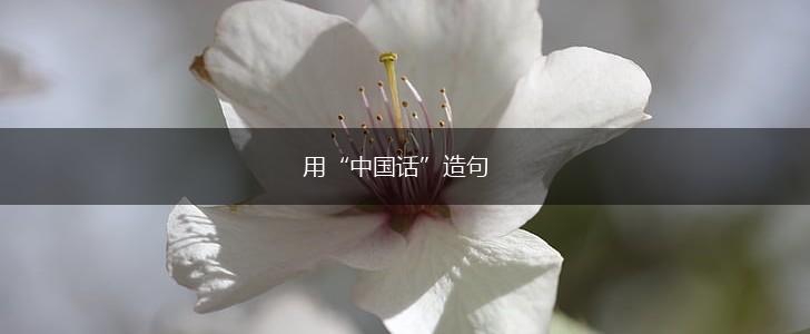 用“中国话”造句,第1张 用“中国话”造句,第1张
