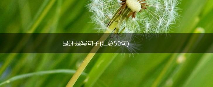 是还是写句子(汇总50句),第1张