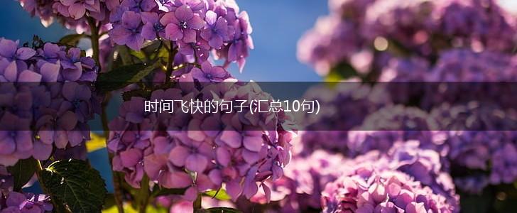 时间飞快的句子(汇总10句),第1张