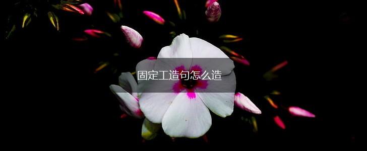 固定工造句怎么造,第1张 固定工造句怎么造,第1张
