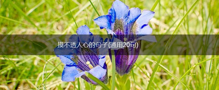 摸不透人心的句子(通用20句),第1张