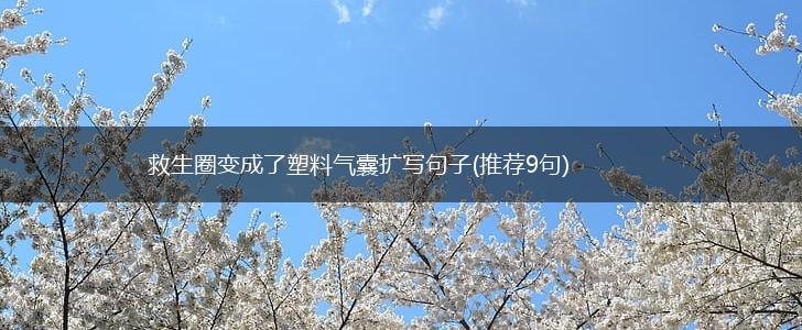 救生圈变成了塑料气囊扩写句子(推荐9句),第1张