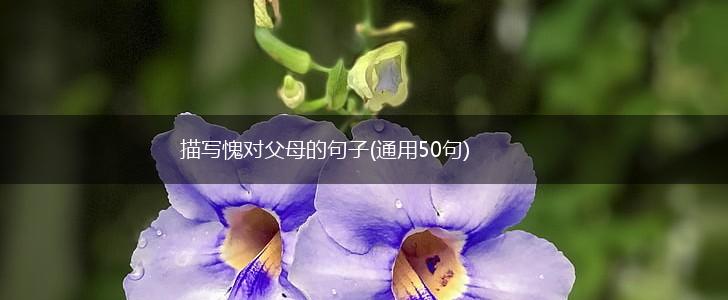 描写愧对父母的句子(通用50句),第1张