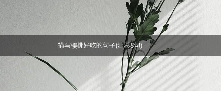 描写樱桃好吃的句子(汇总8句),第1张