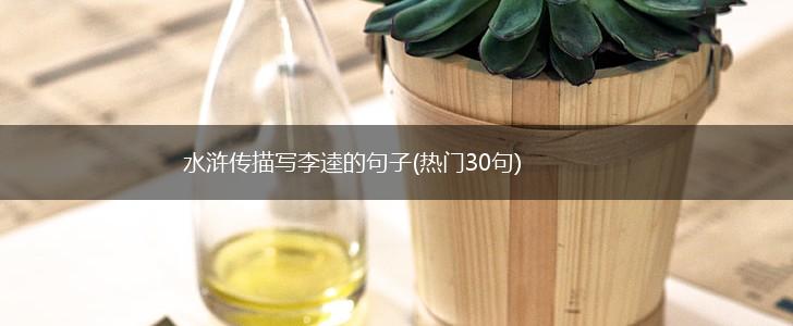 水浒传描写李逵的句子(热门30句),第1张