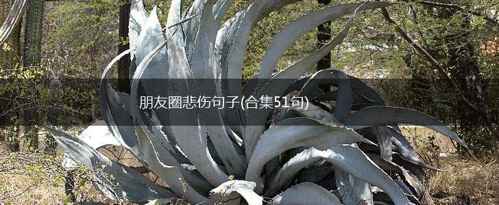 朋友圈悲伤句子(合集51句),第1张
