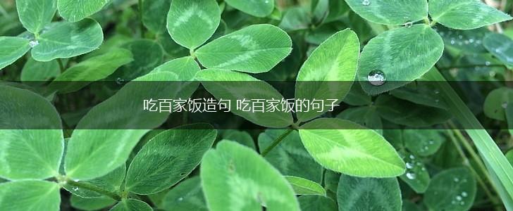 吃百家饭造句 吃百家饭的句子,第1张