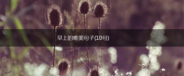 早上的唯美句子(10句),第1张