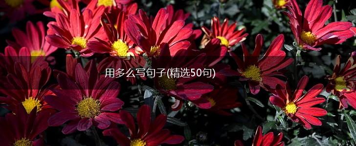 用多么写句子(精选50句),第1张
