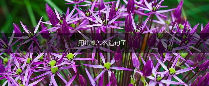 用扎寨怎么造句子,第1张 用扎寨怎么造句子,第1张