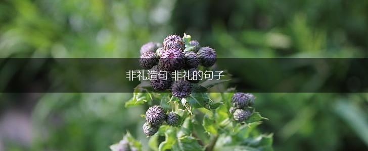 非礼造句 非礼的句子,第1张