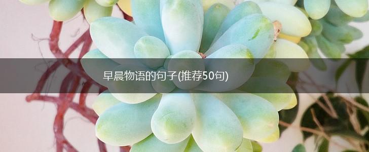 早晨物语的句子(推荐50句),第1张