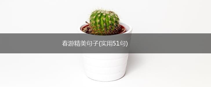春游精美句子(实用51句),第1张