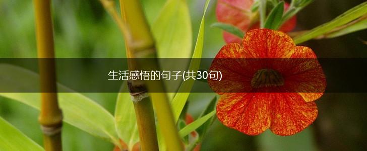 生活感悟的句子(共30句),第1张