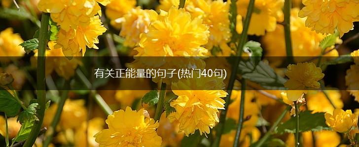 有关正能量的句子(热门40句),第1张