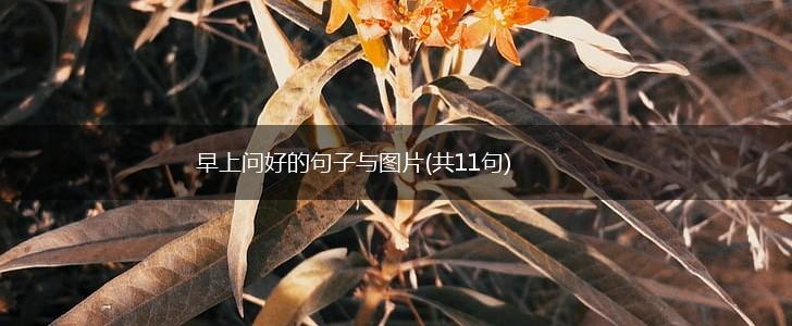 早上问好的句子与图片(共11句),第1张