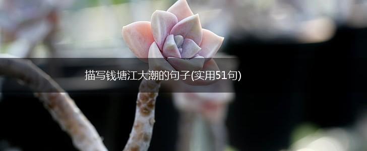 描写钱塘江大潮的句子(实用51句),第1张