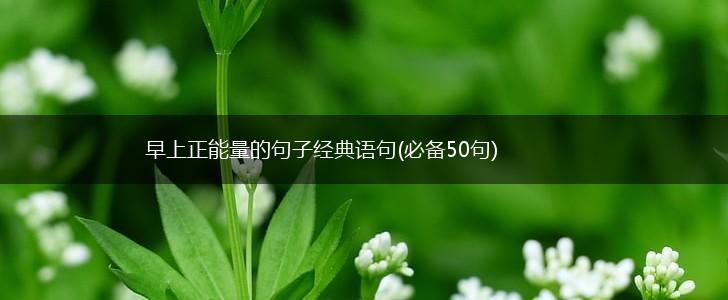 早上正能量的句子经典语句(必备50句),第1张