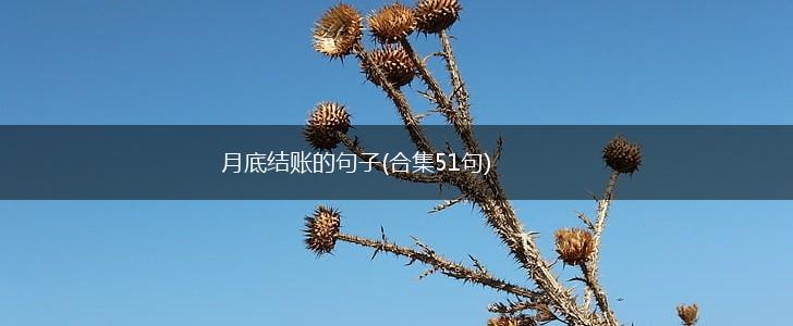 月底结账的句子(合集51句),第1张