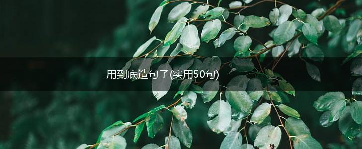用到底造句子(实用50句),第1张