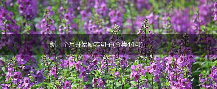 新一个月开始励志句子(合集44句),第1张