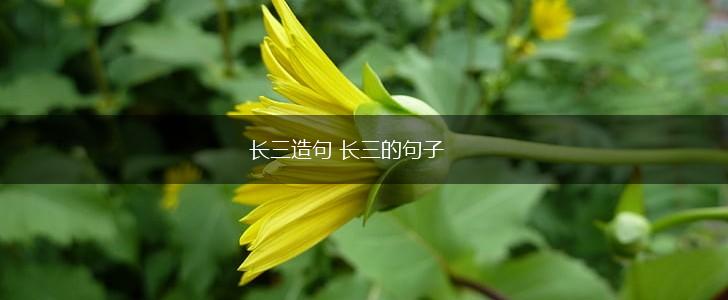 长三造句 长三的句子,第1张