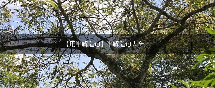 【用半解造句】半解造句大全,第1张 【用半解造句】半解造句大全,第1张