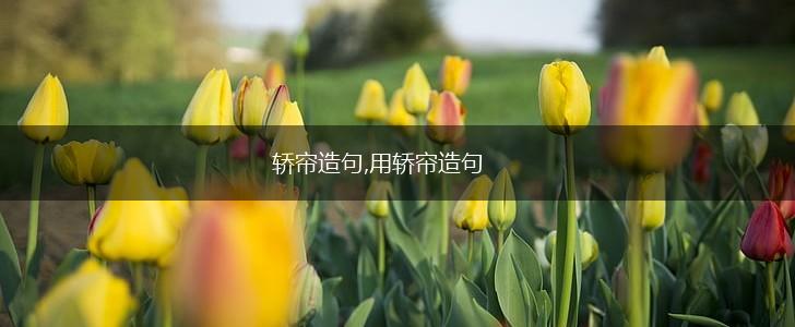 轿帘造句,用轿帘造句,第1张