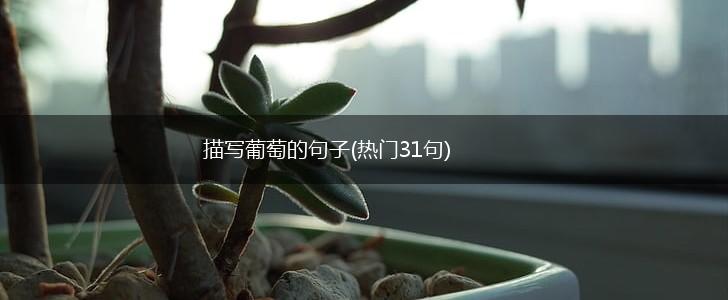 描写葡萄的句子(热门31句),第1张