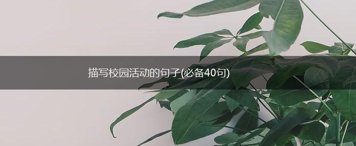 描写校园活动的句子(必备40句),第1张