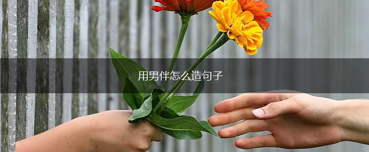 用男伴怎么造句子,第1张 用男伴怎么造句子,第1张