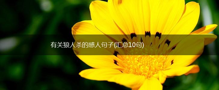 有关狼人杀的感人句子(汇总10句),第1张