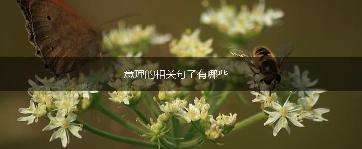 意理的相关句子有哪些,第1张 意理的相关句子有哪些,第1张