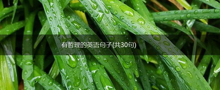 有哲理的英语句子(共30句),第1张