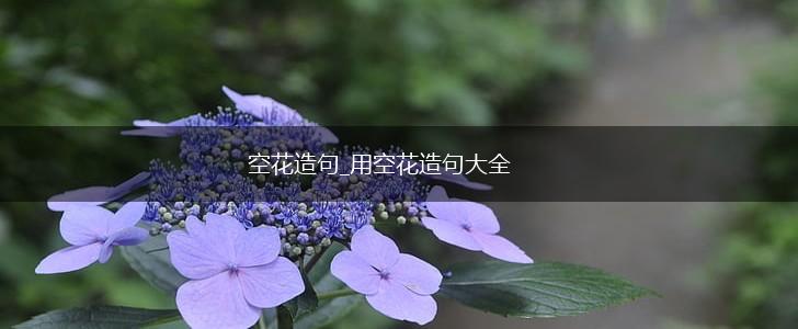 空花造句_用空花造句大全,第1张