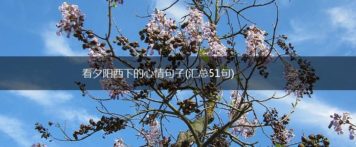 看夕阳西下的心情句子(汇总51句),第1张
