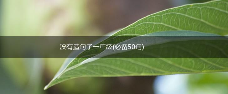没有造句子一年级(必备50句),第1张
